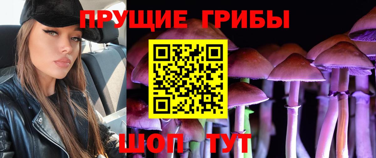 цена   Галлюциногенные грибы MAGIC MUSHROOMS  Вход с VPN  Рузаевка 