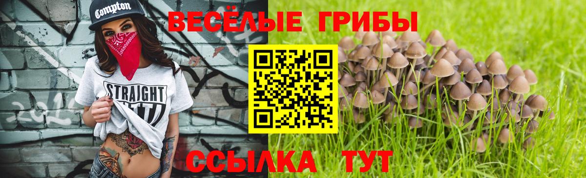 Псилоцибиновые грибы прущие грибы Рузаевка